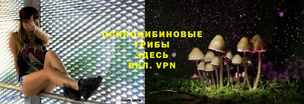 эйфоретик Нефтегорск