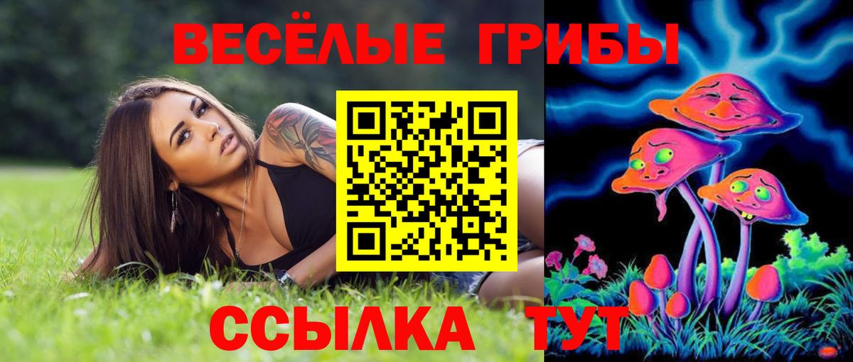 Химки  Псилоцибиновые грибы Psilocybe  Вход с VPN 